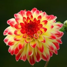 我们会生活180315