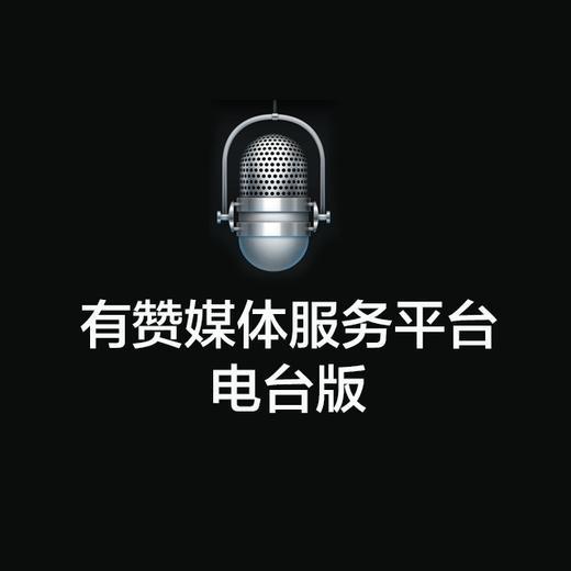 有赞媒体服务平台（电台版）付费通道 商品图0