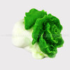 白菜·盐雕模具、冰雕模具、琼脂雕模具都能做！ 商品缩略图2