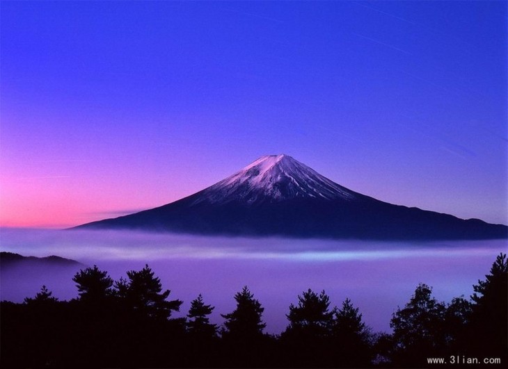 第四天 富士山风景区 (富士山五合目或一合目,山中湖花之都公园,地震