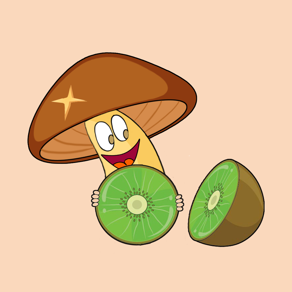 西峡来龙农特产专营店180315