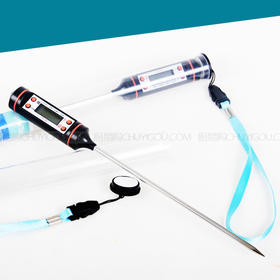 电子测温笔，温度计 糖艺工具，创意盘饰工具，自助餐温控，菜肴出品温控工具