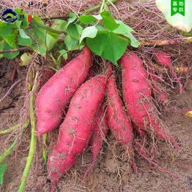 ںϳͷع 10װ90Ԫ cctvƼ