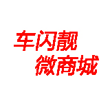 車闪靓汽车用品批发旗舰店200429