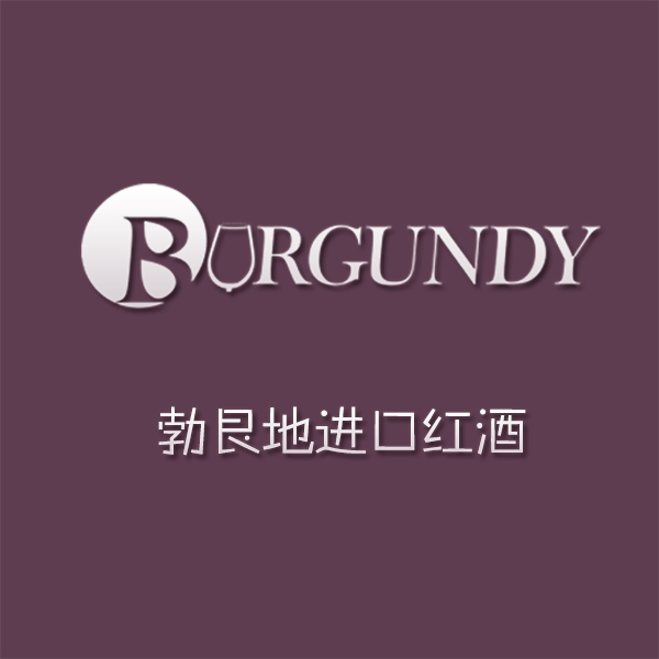 勃艮地进口红酒200428