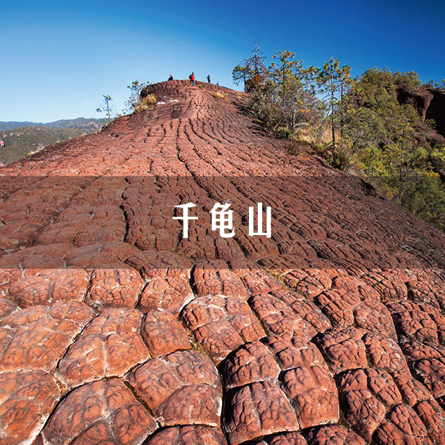 老君山国家公园黎明千龟山一日游