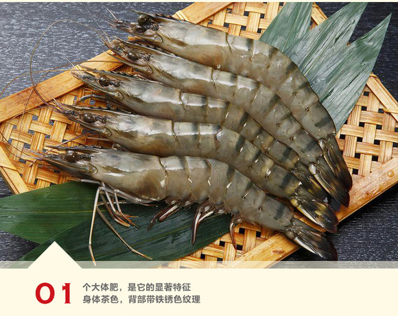ԽϽںڻϺ1000g/(10-12ֻ/) 䶳ϻϺ