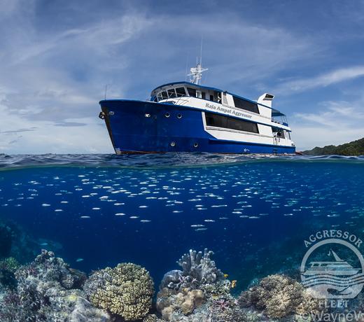 【船宿】印尼四王岛 Raja Ampat 船宿 - Aggressor 商品图1