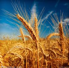 马慧超级大帅哥180404