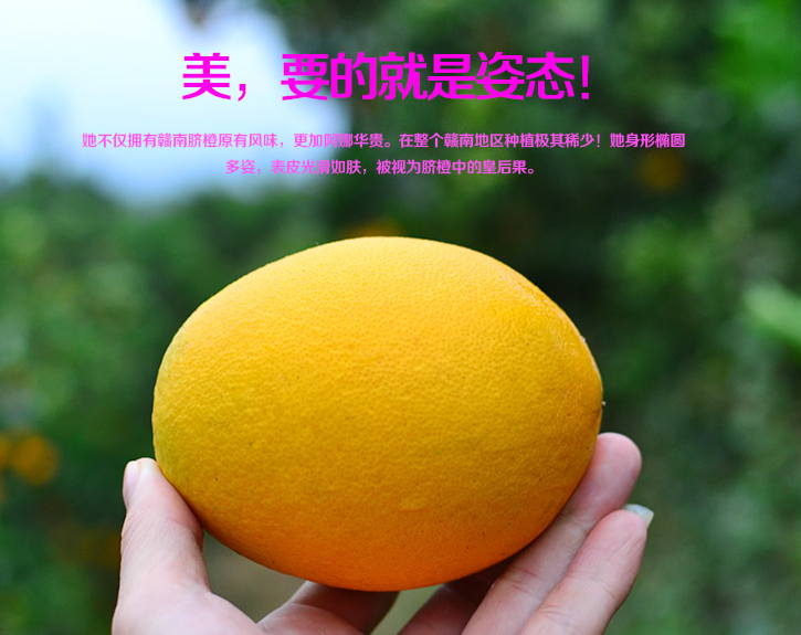 无锡一亩阳光180404