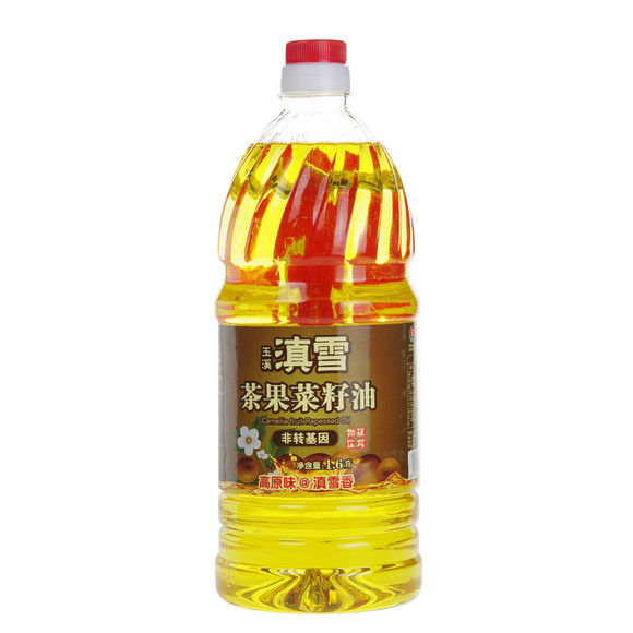 ѩ1.6l