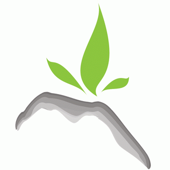 闽松大茶业200508