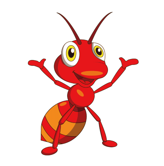 蚂蚁海购—丽水店160805