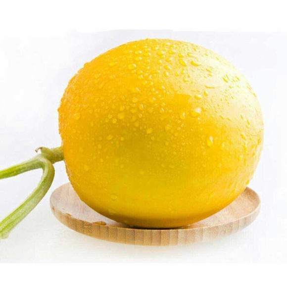 ɳ׹ | ³ʦͼ