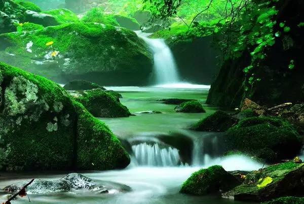 枫香自然生活馆180404