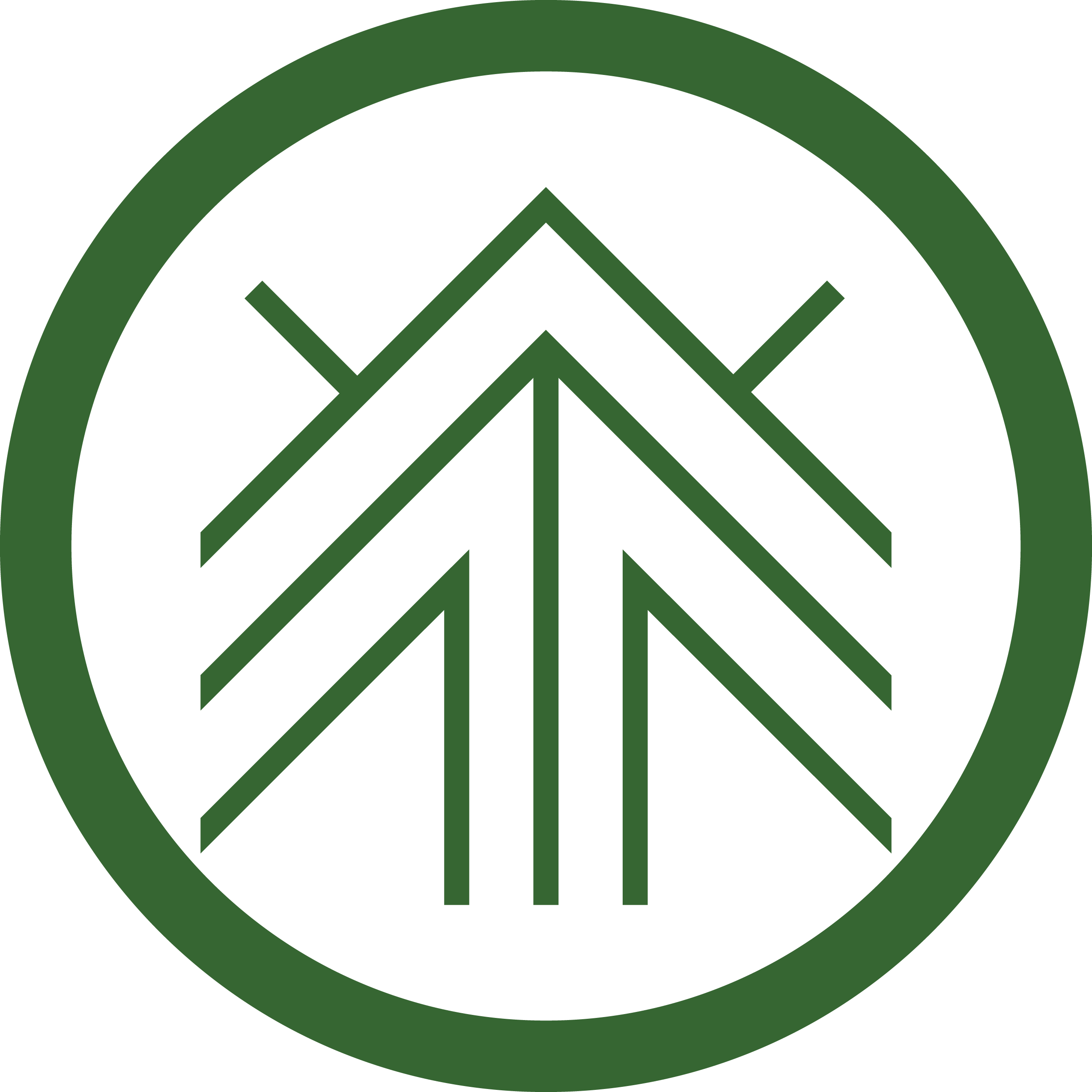 陈府白茶旗舰店200427