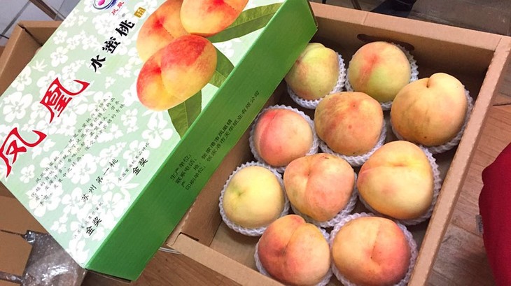 【预定】苏州桃 张家港凤凰水蜜桃10个/盒(单个5两左右)