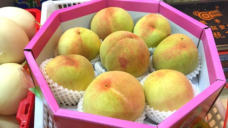 【预定】苏州桃 张家港凤凰水蜜桃12个/盒(单个4两左右)