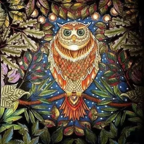 80%的人涂《秘密花园》是啥水平?真相总是这么的残酷
