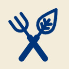 叉叉的卡蒙岛200508