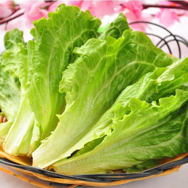 【商品描述】 生菜,学名花叶生菜,产自德国,属于半结球类型,为图片
