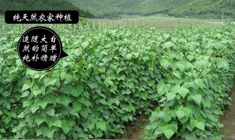高山花豆 大红豆 红腰豆 豆子粗粮八宝粥好搭档 农家自种