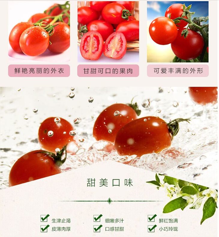 海南千禧圣女果 小西红柿 番茄
