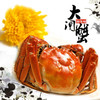 现货阳澄湖大闸蟹鲜活螃蟹公4.0-4.5两 母3.0-3.5两 商品缩略图1