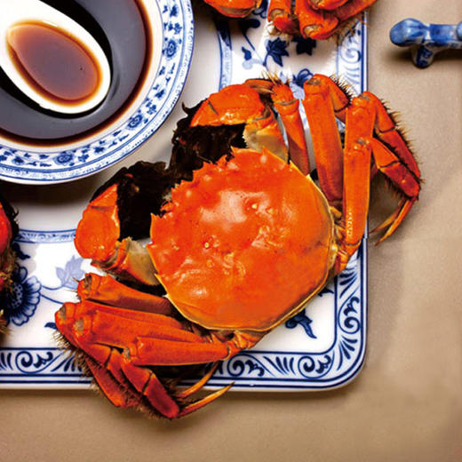 现货阳澄湖大闸蟹鲜活螃蟹公4.0-4.5两 母3.0-3.5两 商品图2