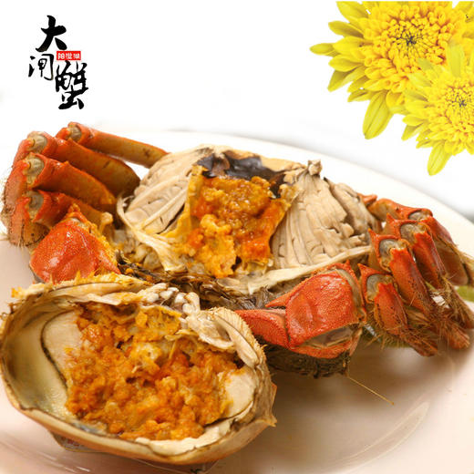现货阳澄湖大闸蟹鲜活螃蟹公4.0-4.5两 母3.0-3.5两 商品图3