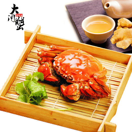 现货阳澄湖大闸蟹鲜活螃蟹公4.0-4.5两 母3.0-3.5两 商品图4
