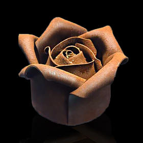 黑池 玫瑰花-魅惑 限量发售-请提前48小时订购