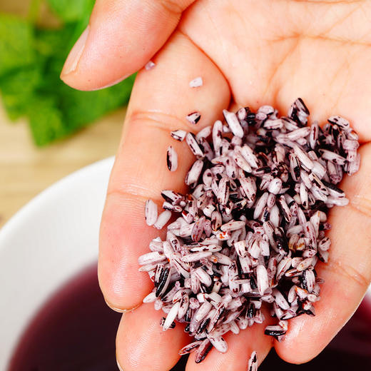 {全胚芽}吉顺号云南墨江紫米紫糯米血糯米1kg  商品图3