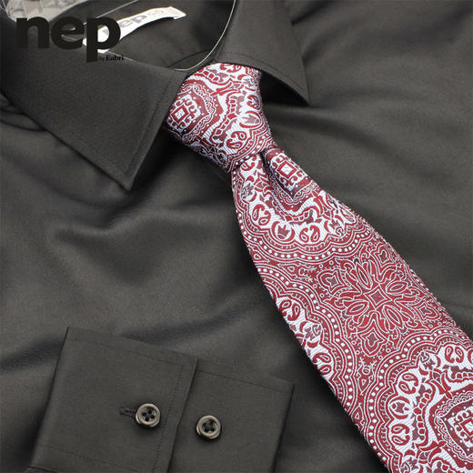 男士条纹棉涤混纺英式衬衫 商品图2