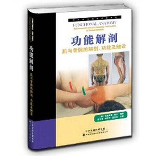 功能解剖：肌与骨骼的解剖——功能及触诊 商品图14