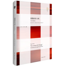 图像的生与死 西方观图史 轻与重文丛