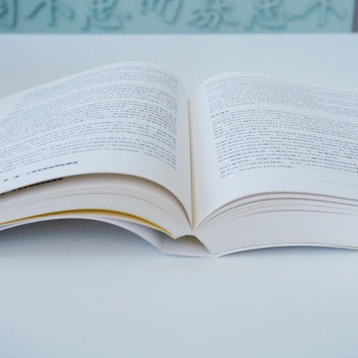 儿童心理学手册（第六版）第二卷：认知、知觉和语言 上下册 平装新版 儿童心理领域的“圣经”。荣获第二届中国出版政府奖提名奖  2015年度影响教师的100本书 商品图4