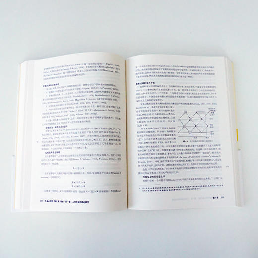 儿童心理学手册（第六版）第一卷：人类发展的理论模型  上下册 平装新版 儿童心理领域的“圣经” 荣获第二届中国出版政府奖提名奖  2015年度影响教师的100本书 商品图4