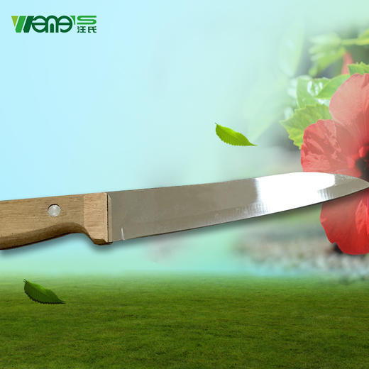 【正品保证】养蜂工具批发起刮刀蜂具割蜜刀两用起刮刀优质木柄割蜜刀蜂具必备 商品图2