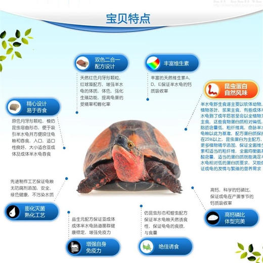 命脉【半水龟粮】黄缘饲料龟粮高背刀刻纹乌龟饲料【LIFELINE命脉官方正版】-分销 商品图4