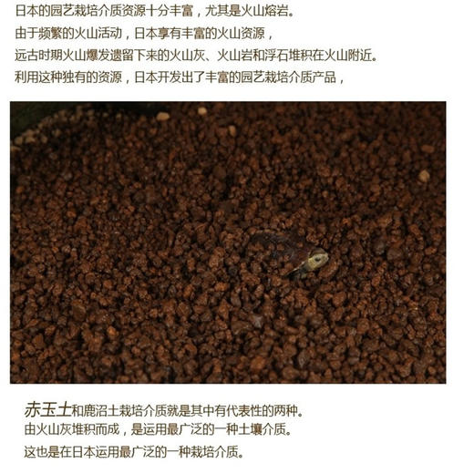命脉 赤玉土 半水龟进口垫材3-6mm蜥蜴爬虫【LIFELINE命脉官方正版】-分销 商品图3