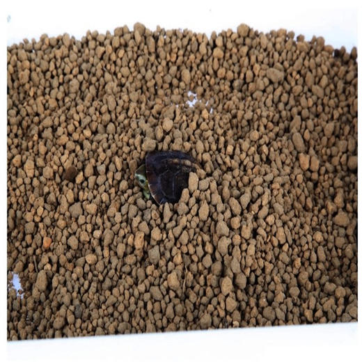 命脉 赤玉土 半水龟进口垫材3-6mm蜥蜴爬虫【LIFELINE命脉官方正版】-分销 商品图4