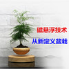 【优美】创意设计磁悬浮盆栽植物DIY自转【不含盆栽】 商品缩略图1