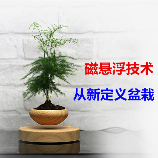 【优美】创意设计磁悬浮盆栽植物DIY自转【不含盆栽】 商品图1