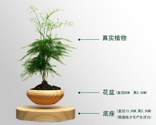【优美】创意设计磁悬浮盆栽植物DIY自转【不含盆栽】 商品图2
