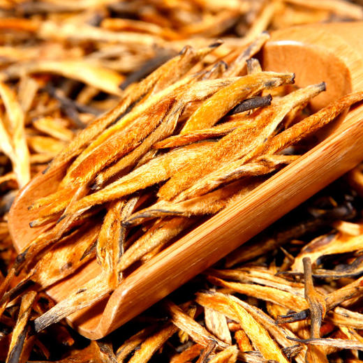 云南大金针滇红茶500g 蜜香滇红工夫红茶散茶 商品图1