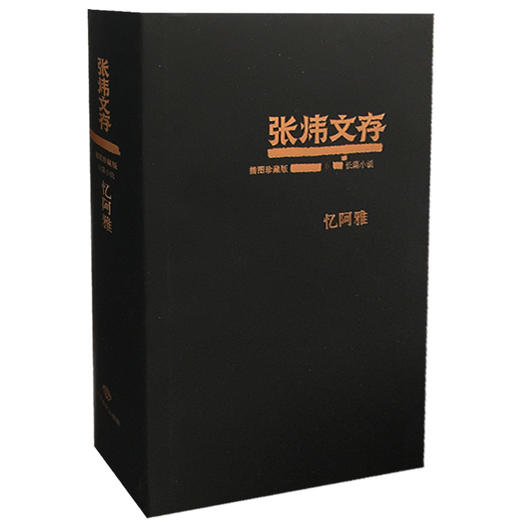忆阿雅 张炜文存特精装版 经典文学畅销书籍 茅盾文学奖获得者2015年度中国好书作者张炜 商品图0