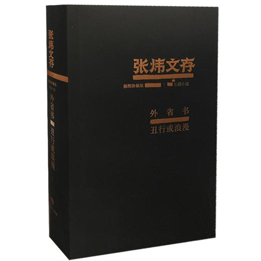 外省书  丑行或浪漫 张炜文存特精装版 经典文学畅销书籍 茅盾文学奖获得者2015年度中国好书作者张炜 商品图0